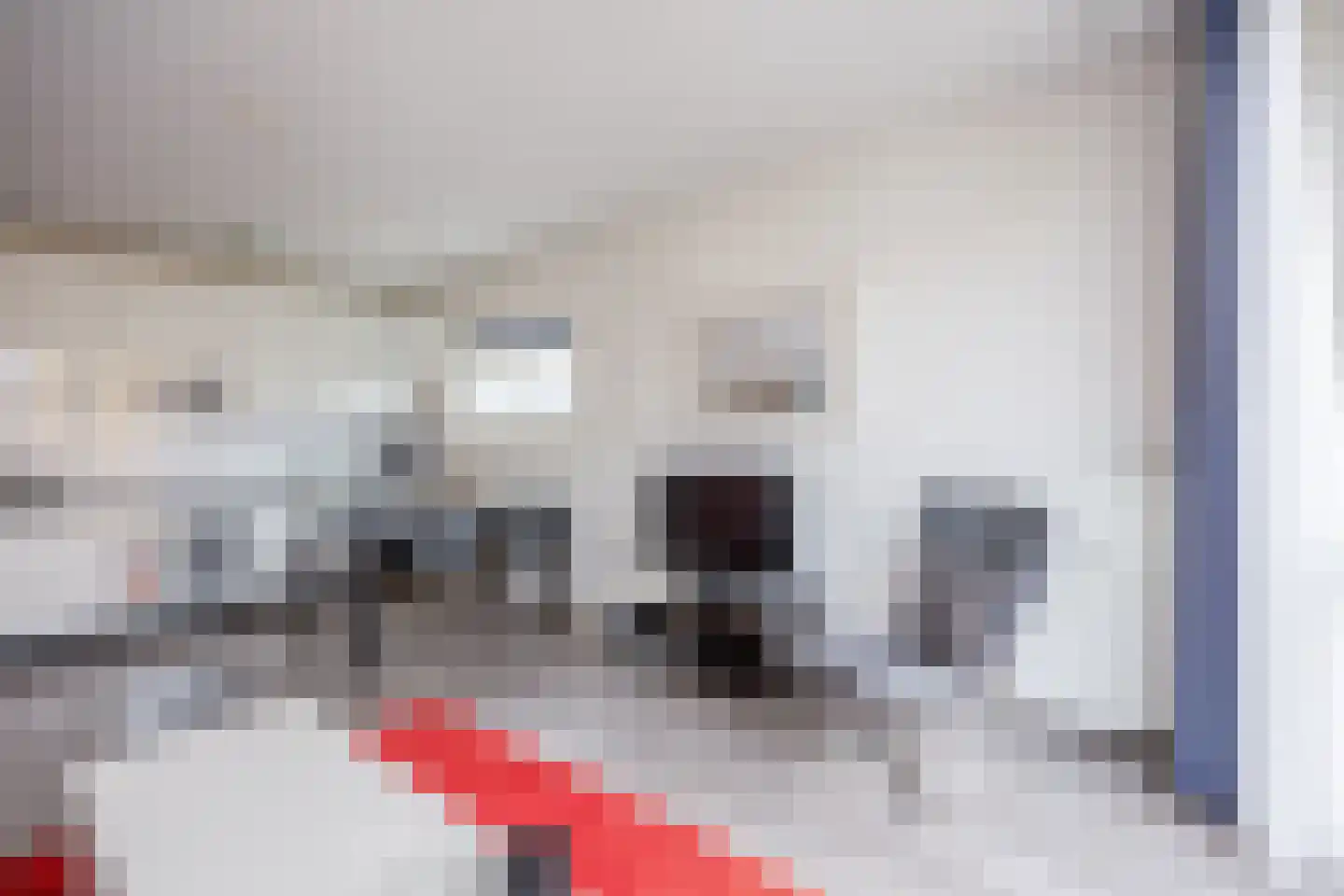 Karrengas 48 E Nijmegen thumbnail 11