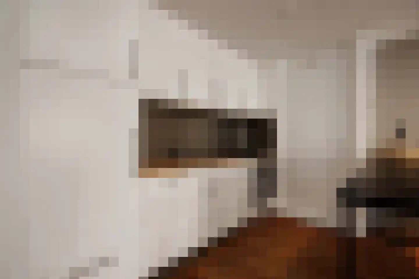 Karrenstraat 21 's-Hertogenbosch thumbnail 13