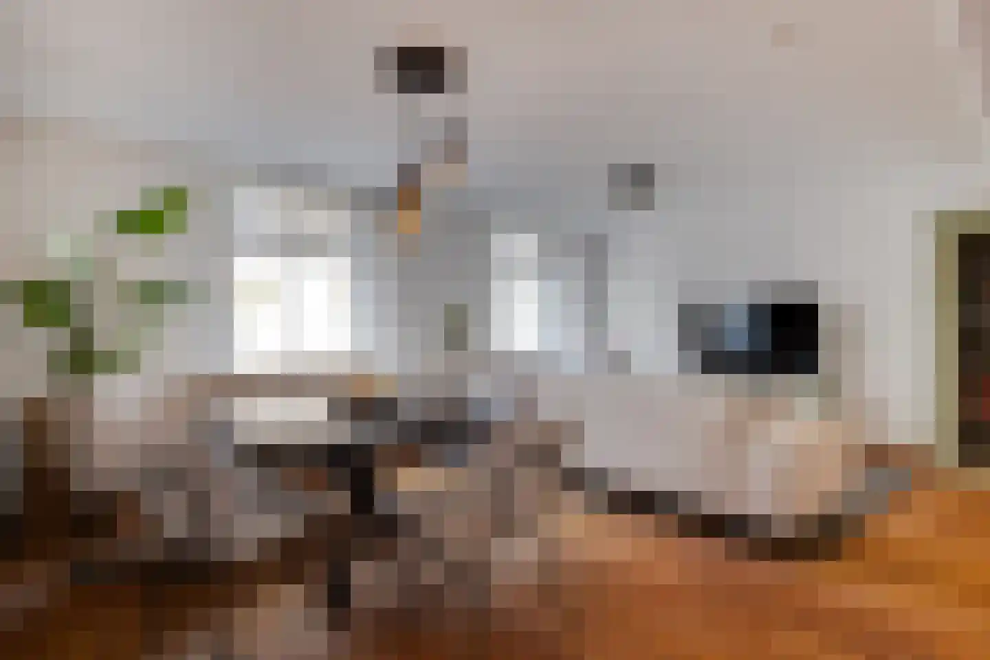 Karrenstraat 21 's-Hertogenbosch thumbnail 17