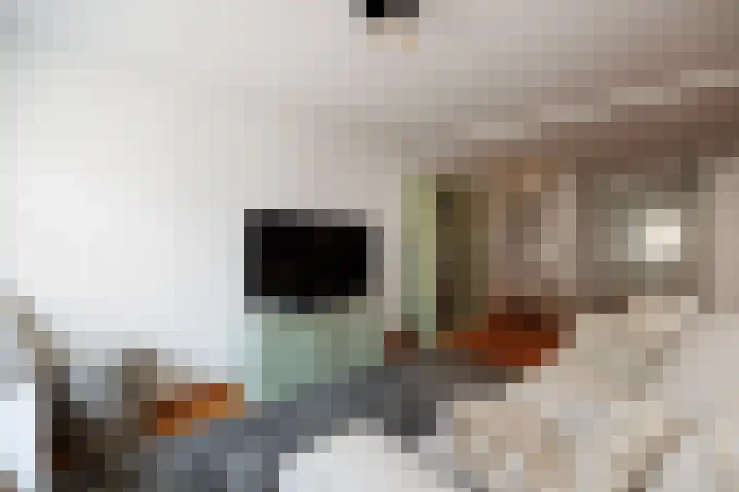 Karrenstraat 21 's-Hertogenbosch thumbnail 18
