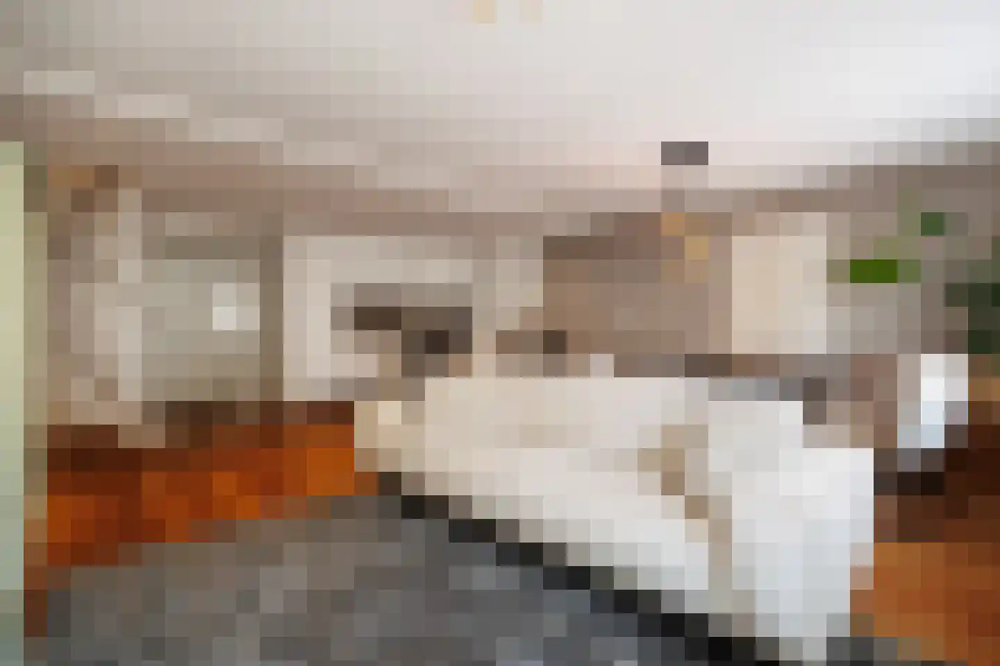 Karrenstraat 21 's-Hertogenbosch thumbnail 20