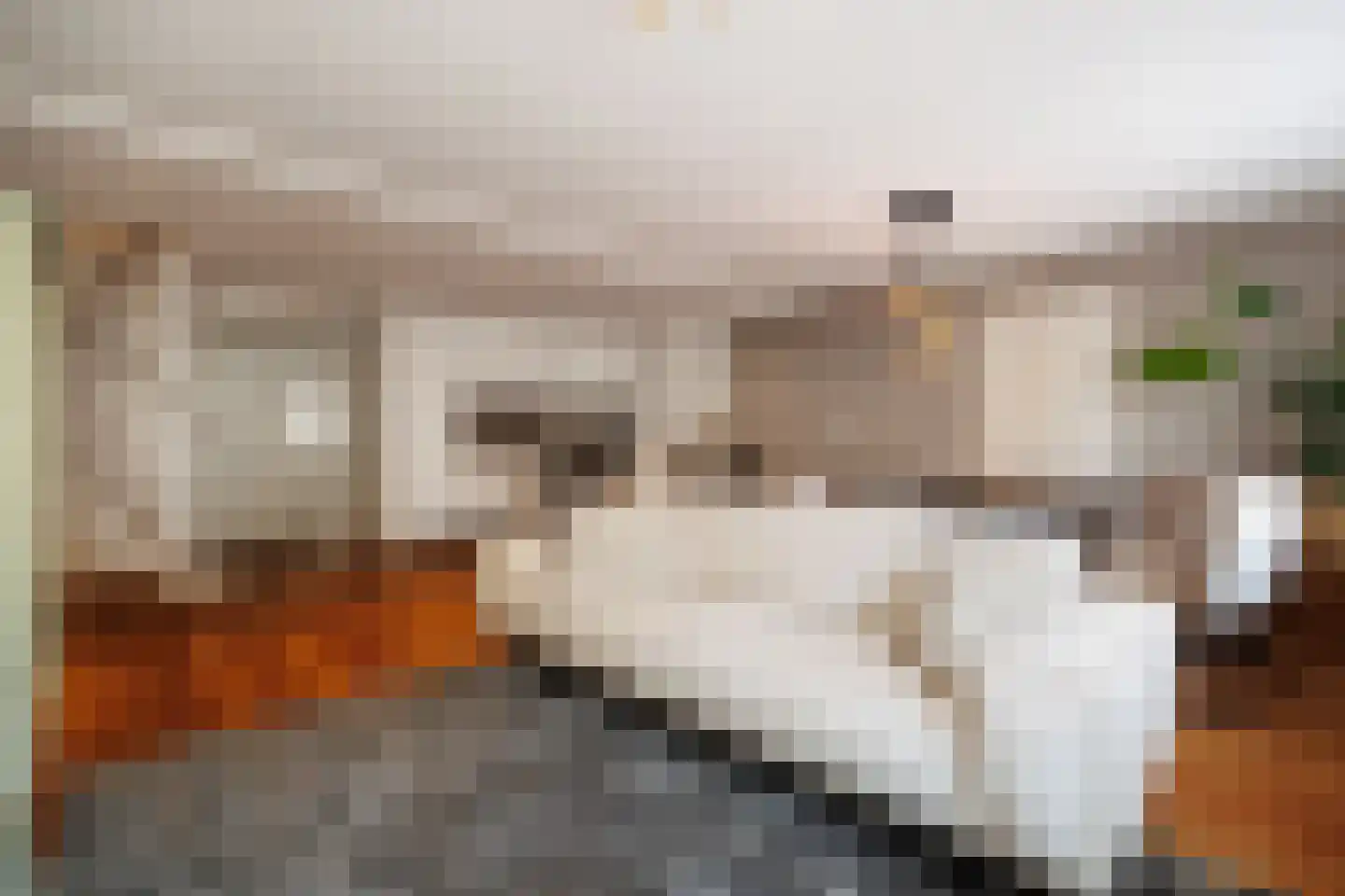 Karrenstraat 21 's-Hertogenbosch thumbnail 20