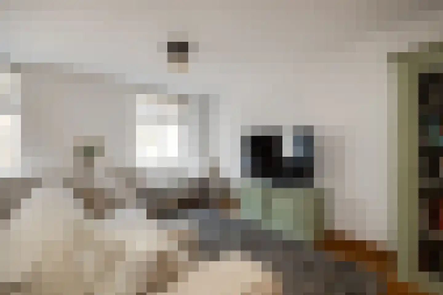 Karrenstraat 21 's-Hertogenbosch thumbnail 21