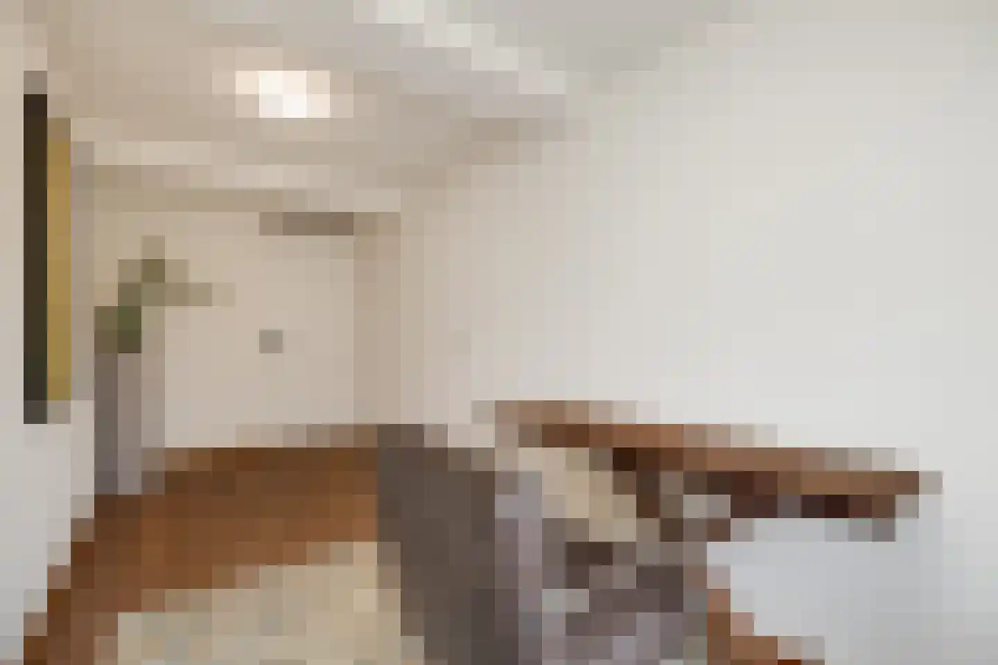 Karrenstraat 21 's-Hertogenbosch thumbnail 26