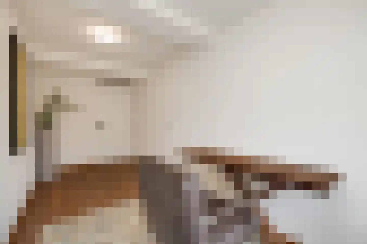 Karrenstraat 21 's-Hertogenbosch thumbnail 26