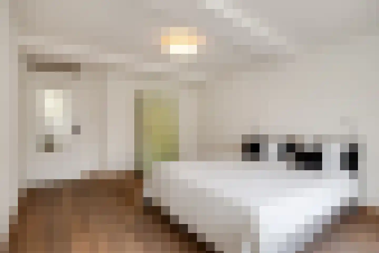 Karrenstraat 21 's-Hertogenbosch thumbnail 28