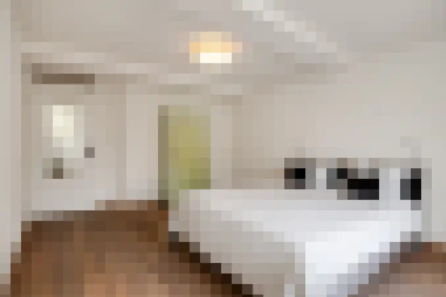 Karrenstraat 21 's-Hertogenbosch thumbnail 28