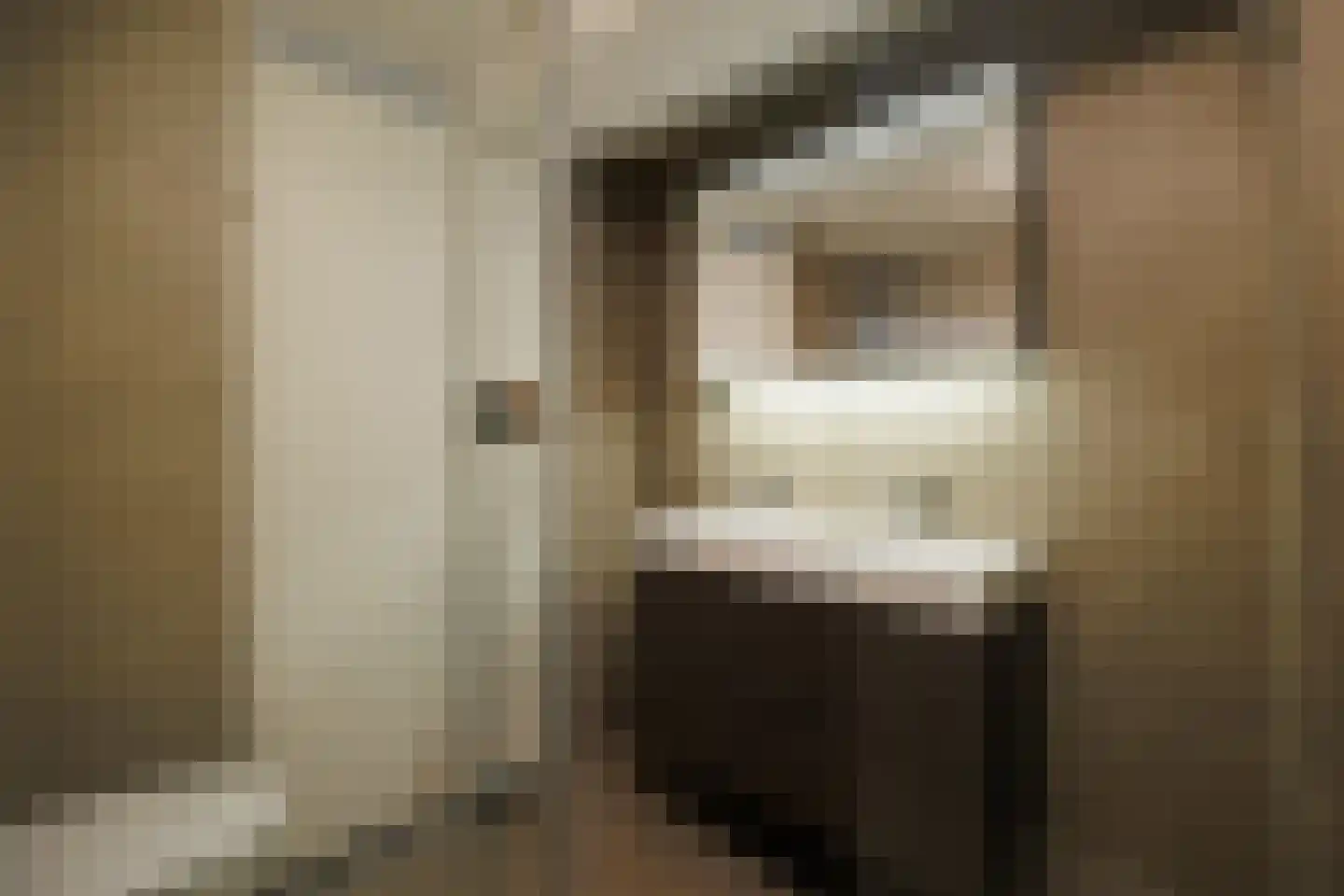 Karrenstraat 21 's-Hertogenbosch thumbnail 30