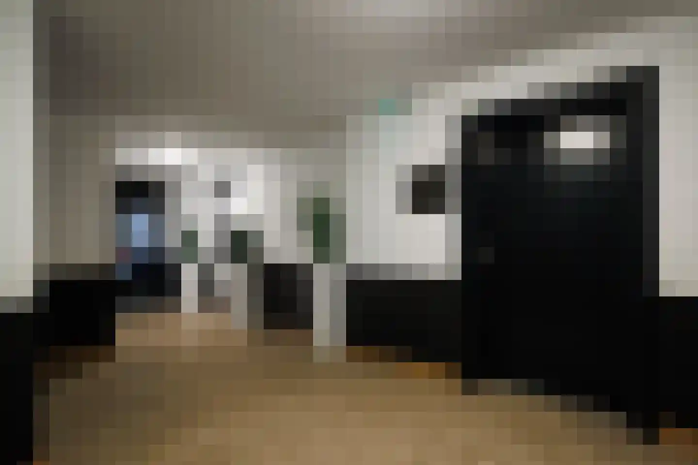 Karrenstraat 21 's-Hertogenbosch thumbnail 8