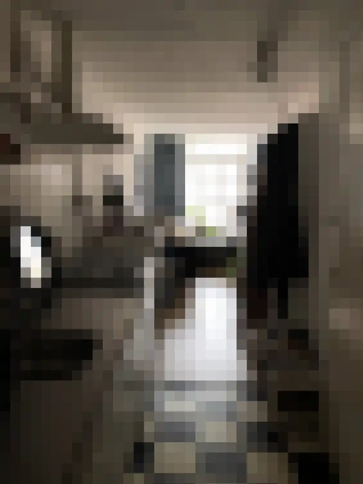 Karrenstraat 42 's-Hertogenbosch thumbnail 4