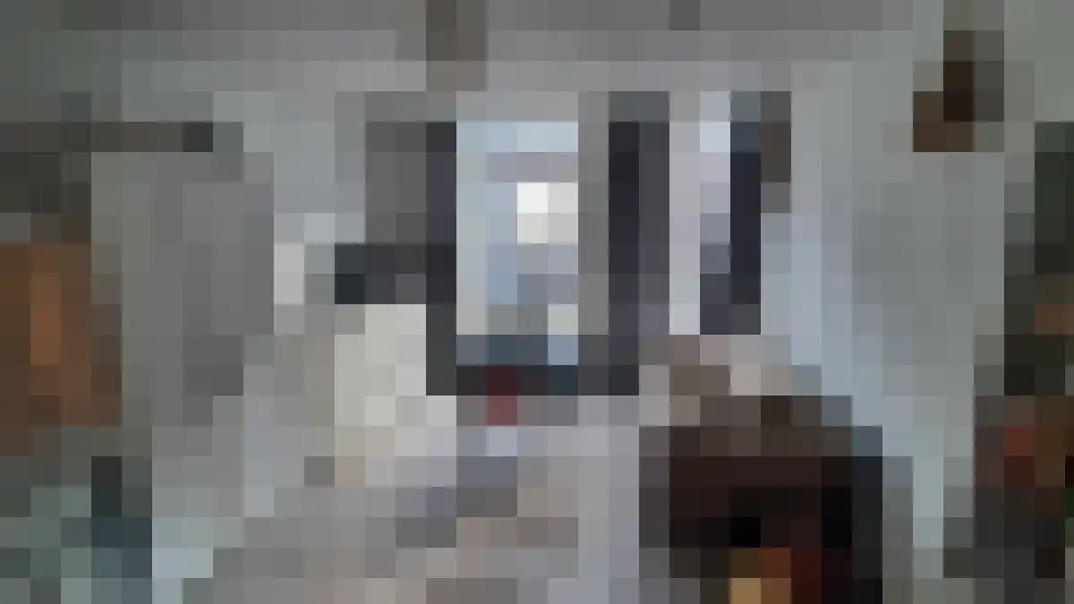 Karrenstraat 42 's-Hertogenbosch thumbnail 5