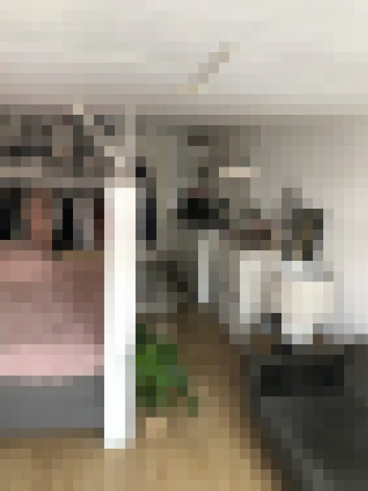 Karrenstraat 42 's-Hertogenbosch thumbnail 6