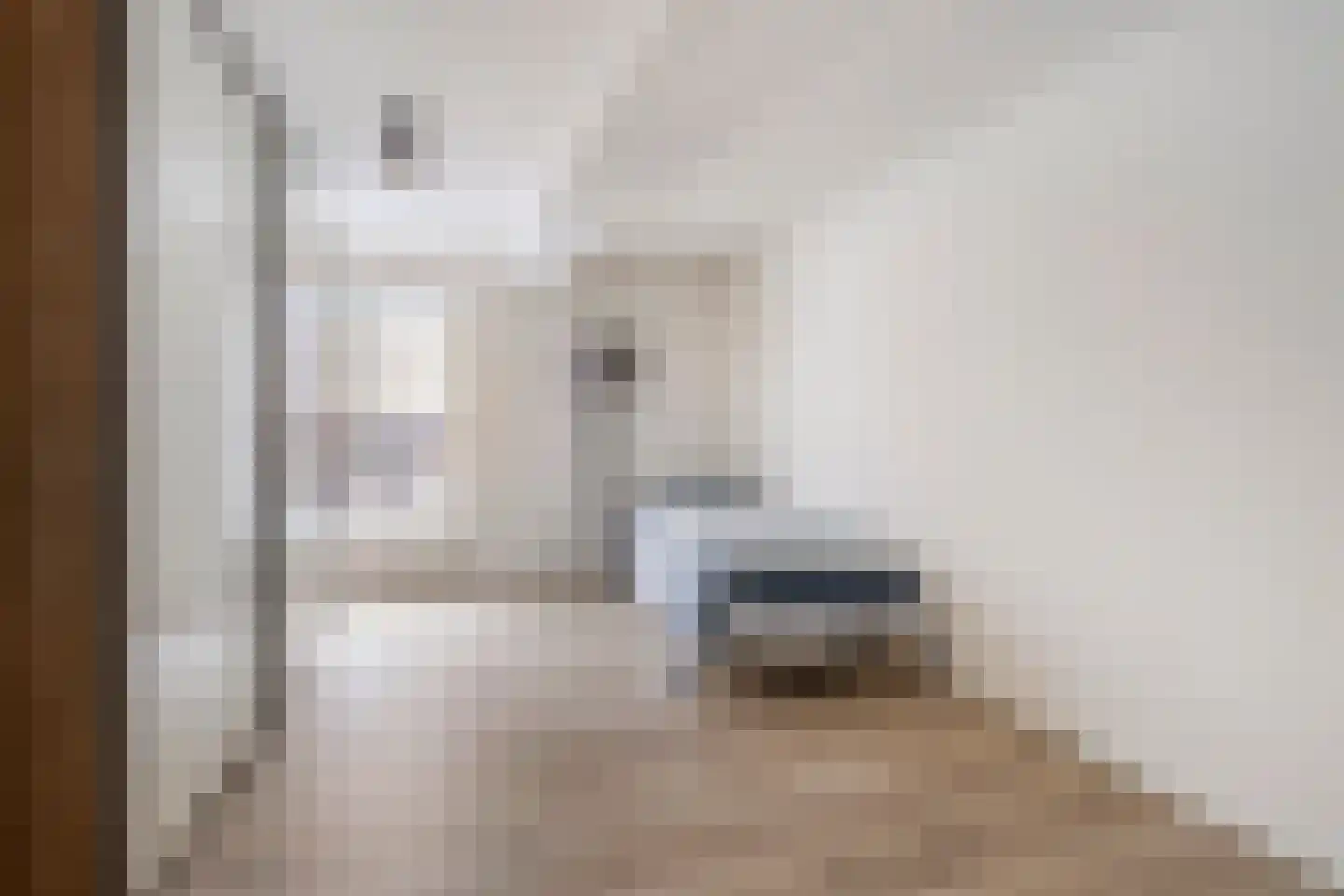 Karrenstraat 59 's-Hertogenbosch thumbnail 16