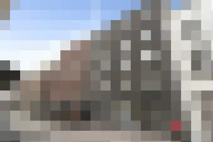 Karrenstraat 59 's-Hertogenbosch thumbnail 26