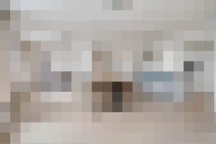 Karrenstraat 59 's-Hertogenbosch thumbnail 7