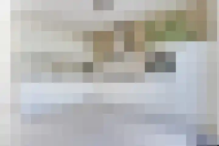 Karrenwiel 3 Eersel thumbnail 14