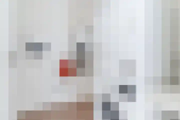 Karrenwiel 3 Eersel thumbnail 16