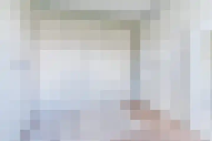 Karrenwiel 3 Eersel thumbnail 20