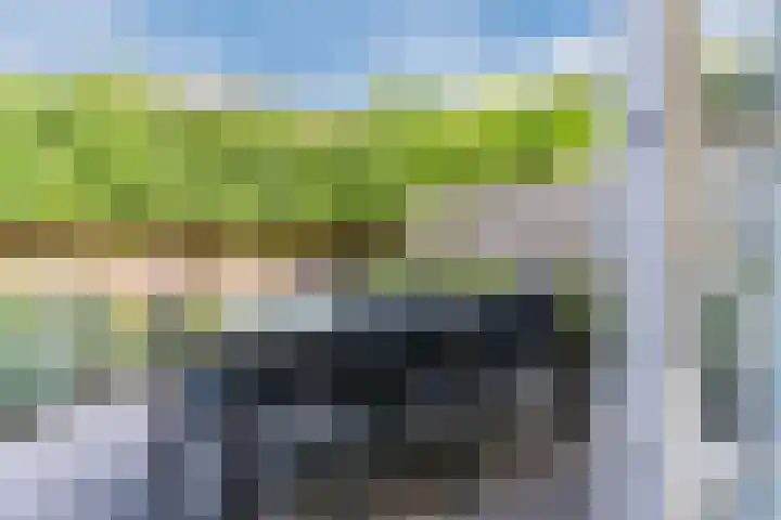 Karrenwiel 3 Eersel thumbnail 27