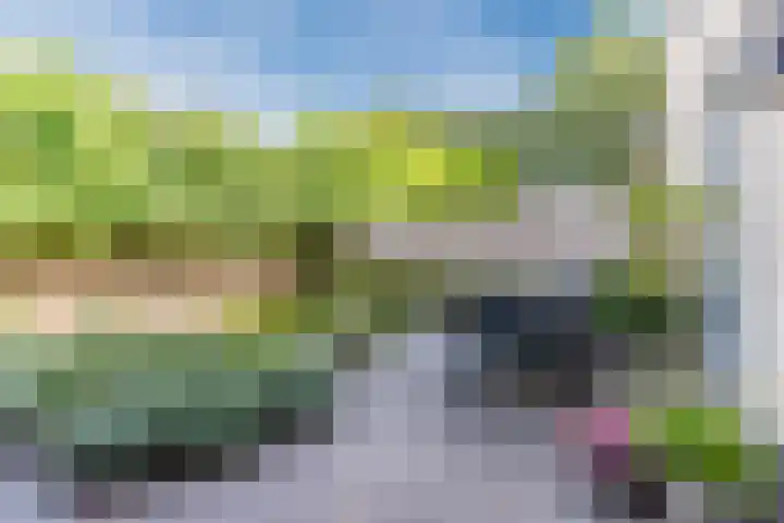 Karrenwiel 3 Eersel thumbnail 28