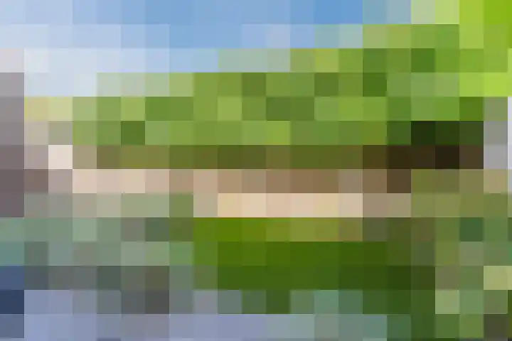 Karrenwiel 3 Eersel thumbnail 29