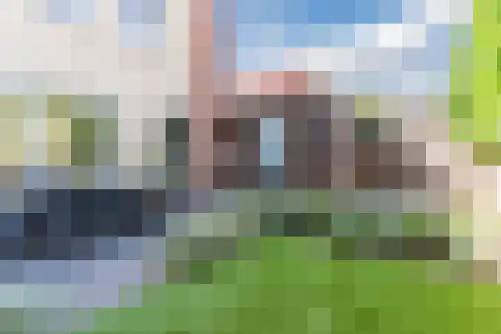 Karrenwiel 3 Eersel thumbnail 31