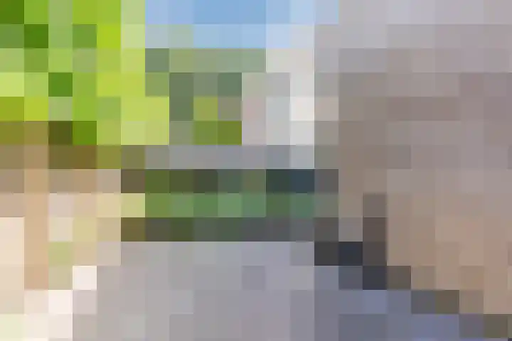 Karrenwiel 3 Eersel thumbnail 33