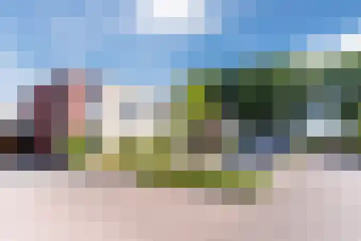 Karrenwiel 3 Eersel thumbnail 37