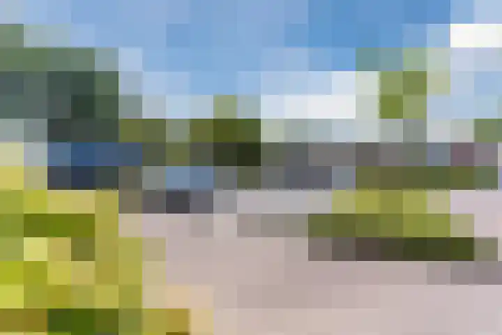 Karrenwiel 3 Eersel thumbnail 38