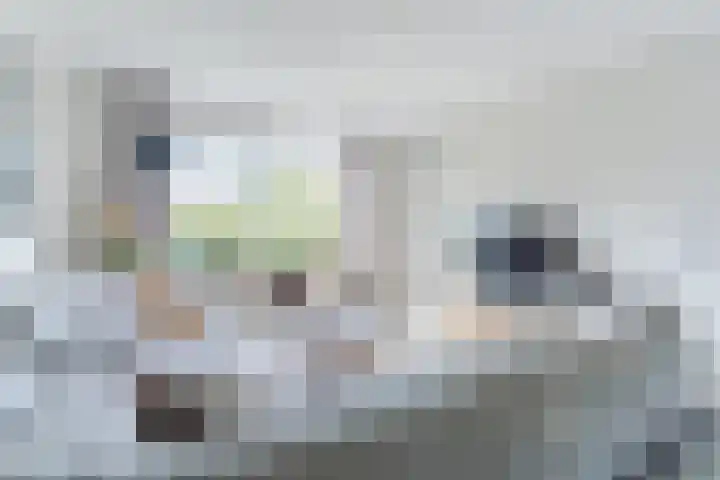 Karrenwiel 3 Eersel thumbnail 8