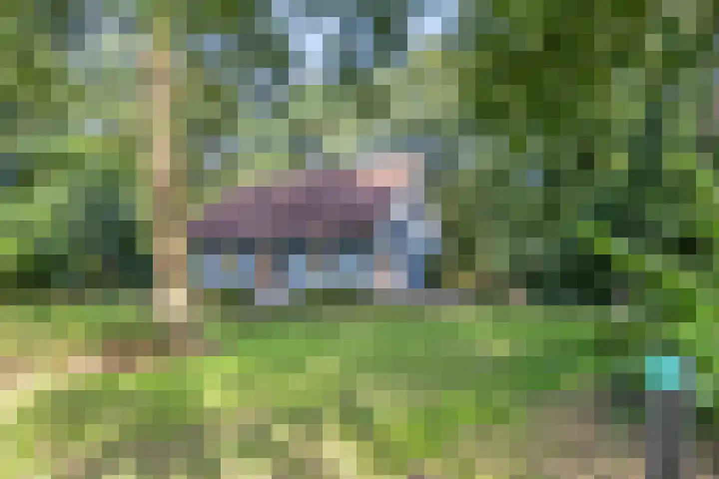 Karrepad 7 Norg thumbnail 10