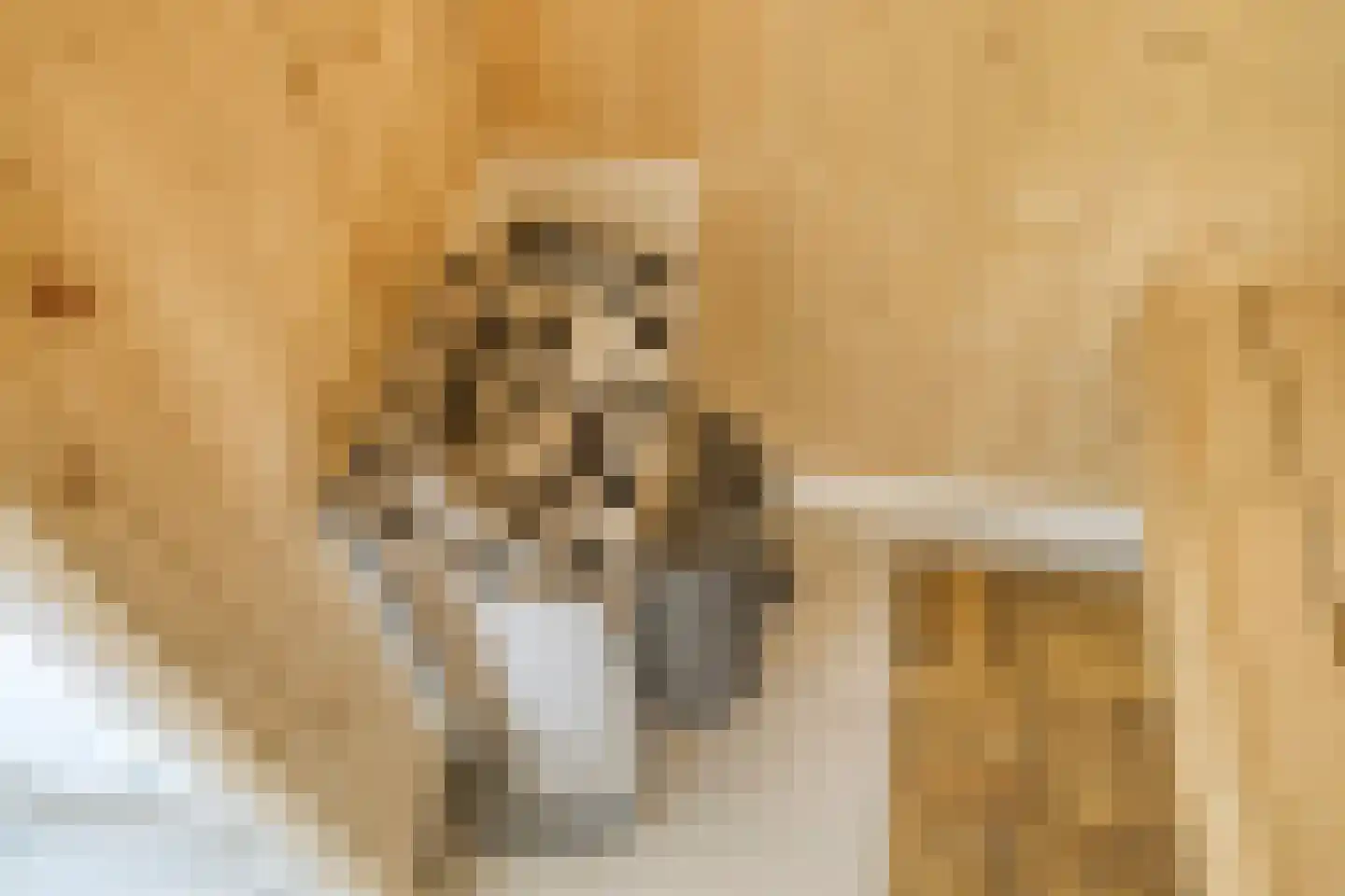 Karrepad 7 Norg thumbnail 40