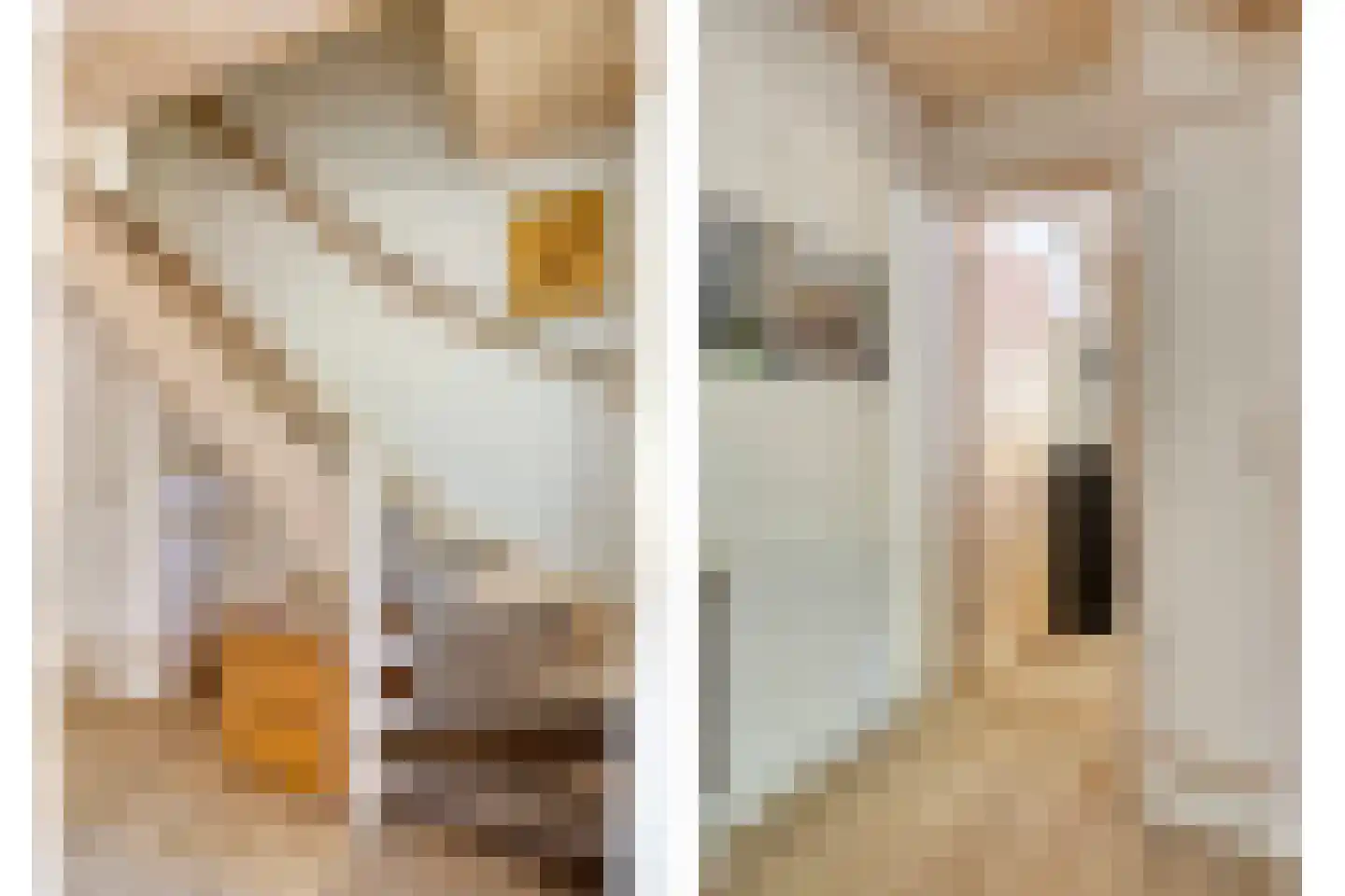 Karrepad 7 Norg thumbnail 41
