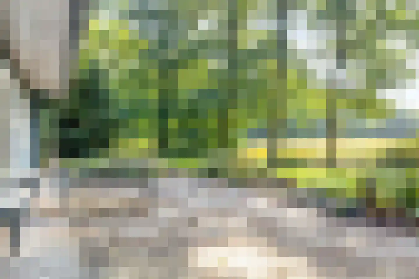 Karrepad 7 Norg thumbnail 55