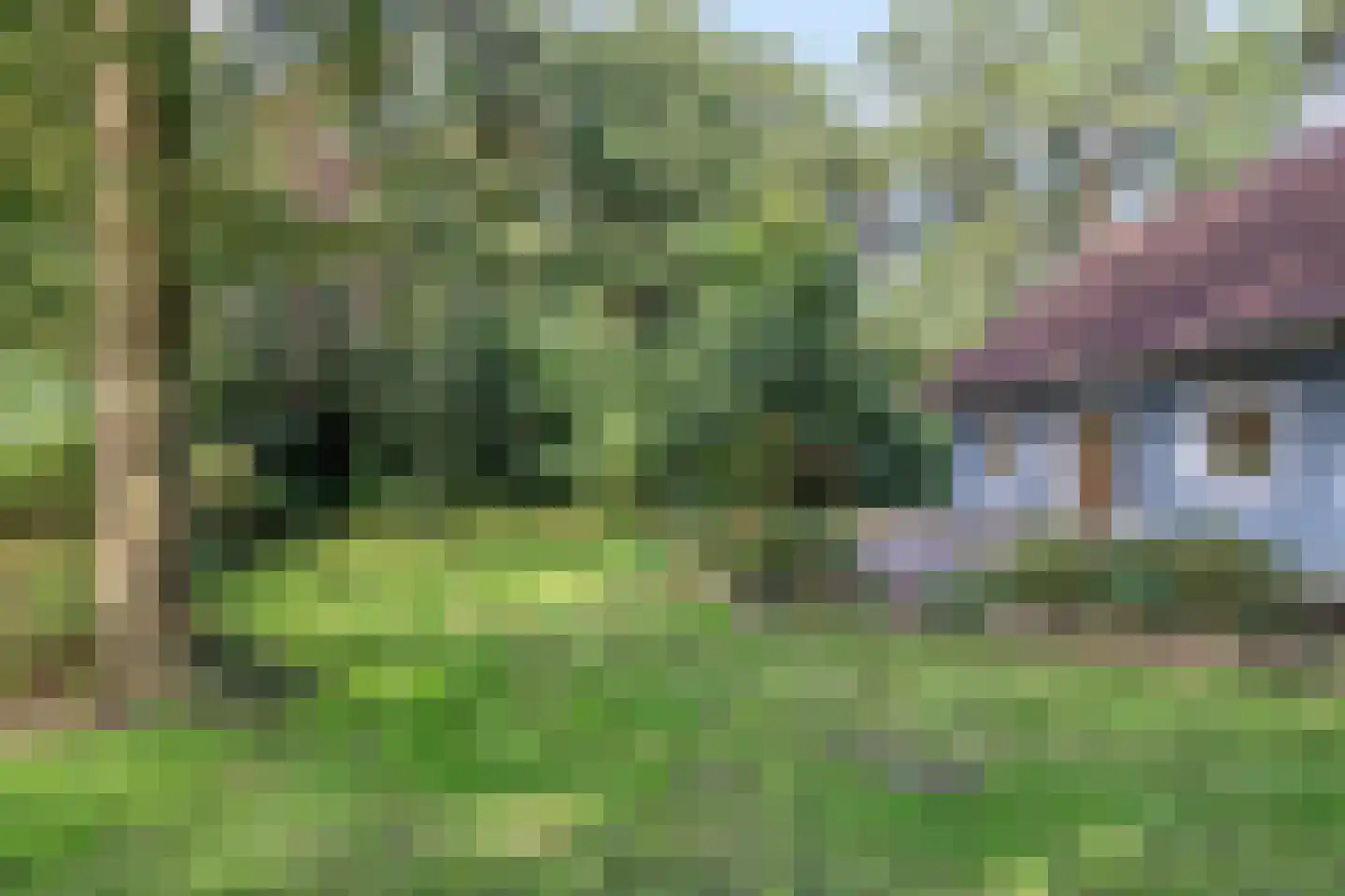 Karrepad 7 Norg thumbnail 56