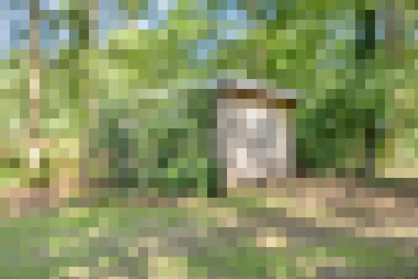 Karrepad 7 Norg thumbnail 60