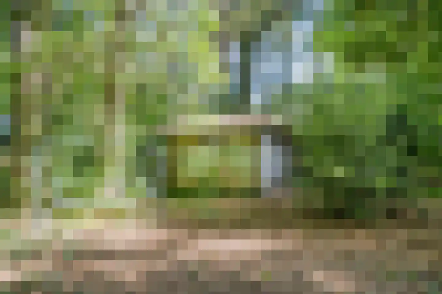 Karrepad 7 Norg thumbnail 61