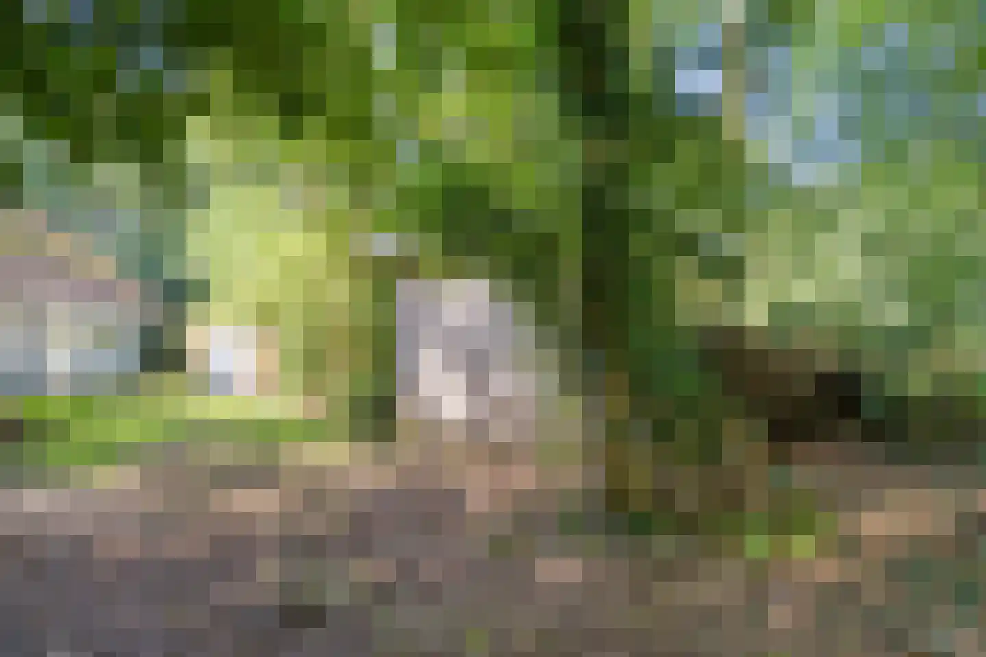 Karrepad 7 Norg thumbnail 62