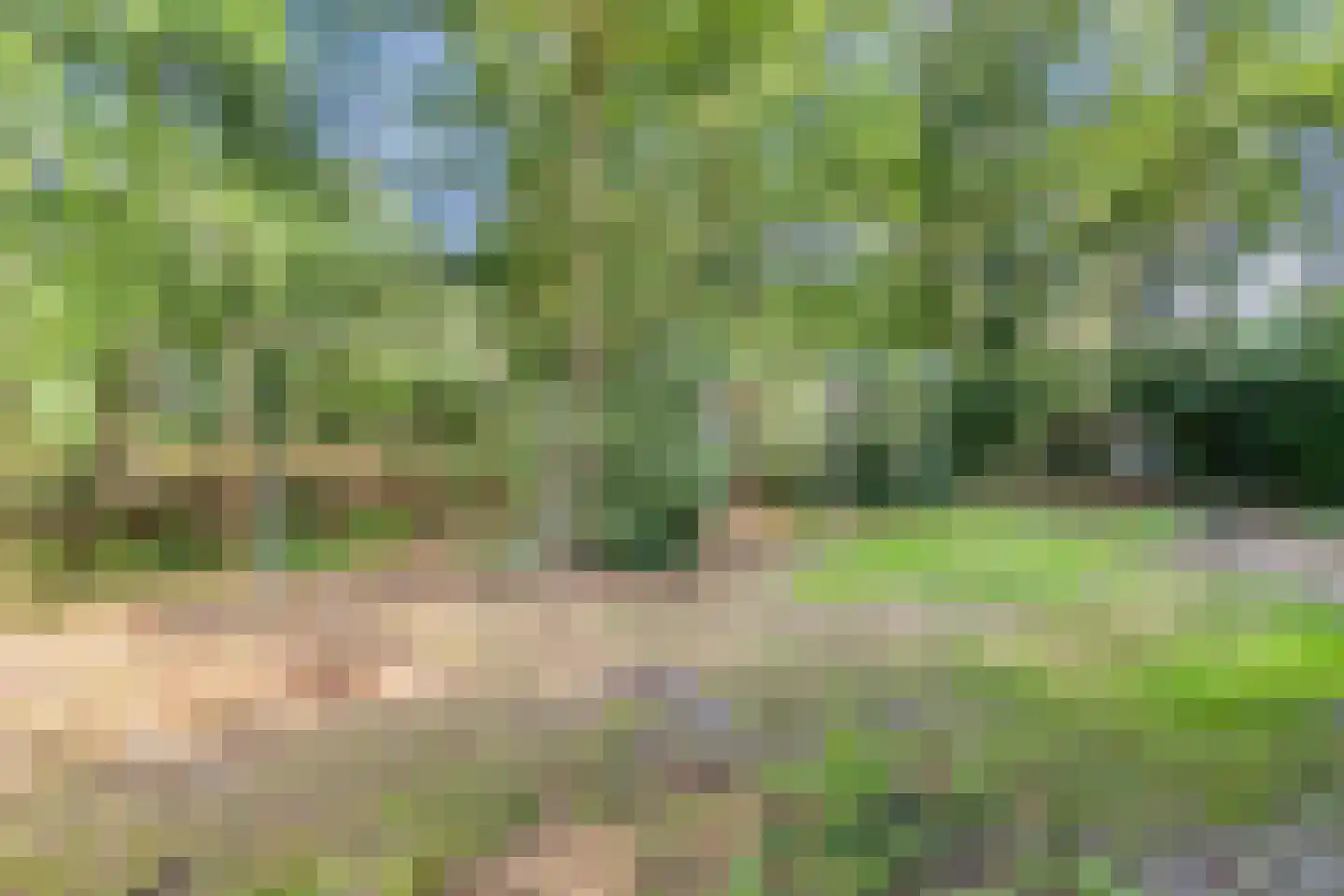 Karrepad 7 Norg thumbnail 64