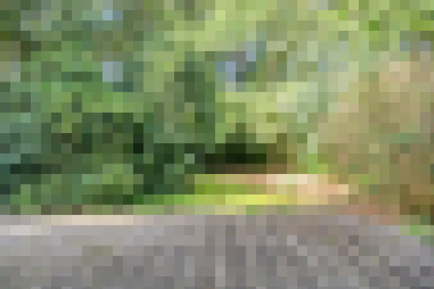 Karrepad 7 Norg thumbnail 65
