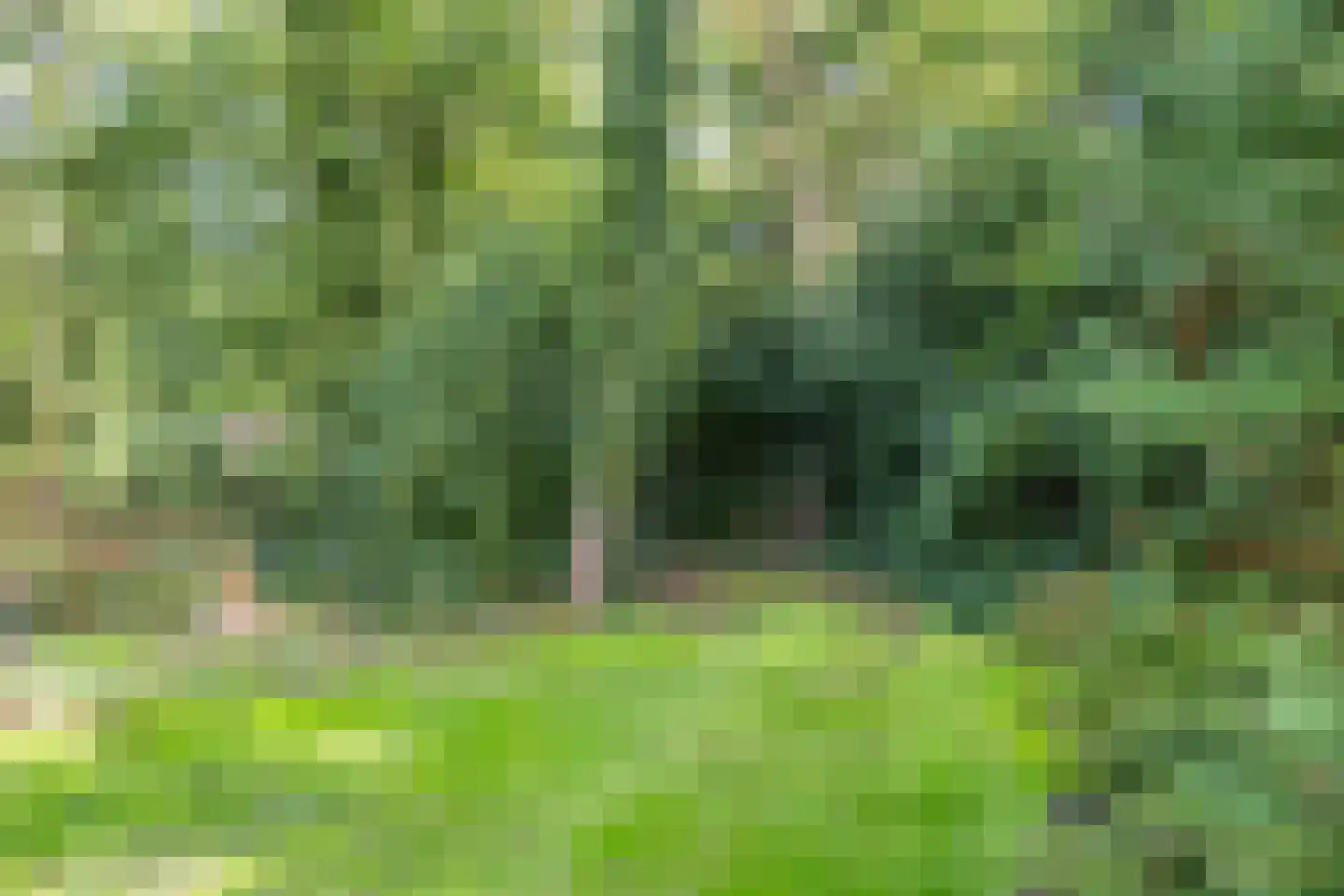 Karrepad 7 Norg thumbnail 66