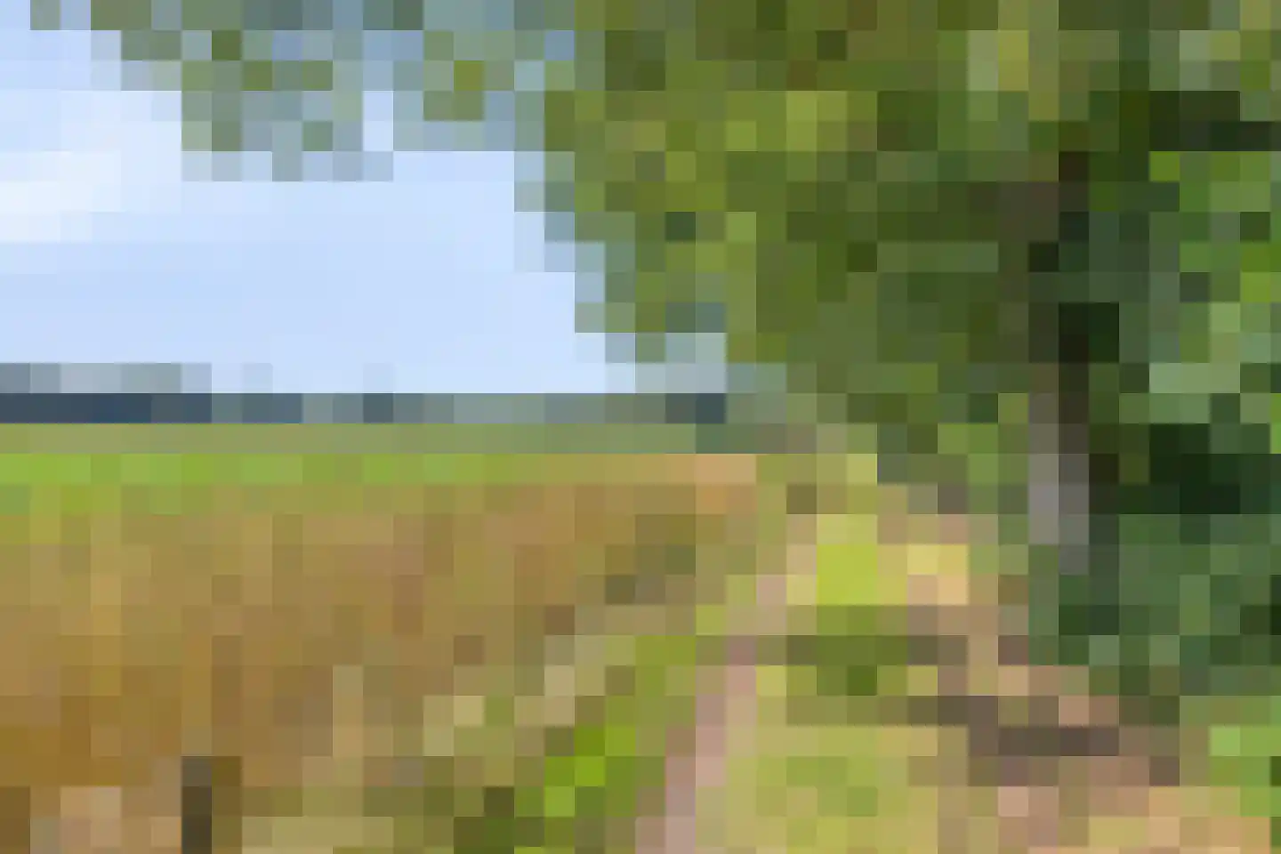 Karrepad 7 Norg thumbnail 68