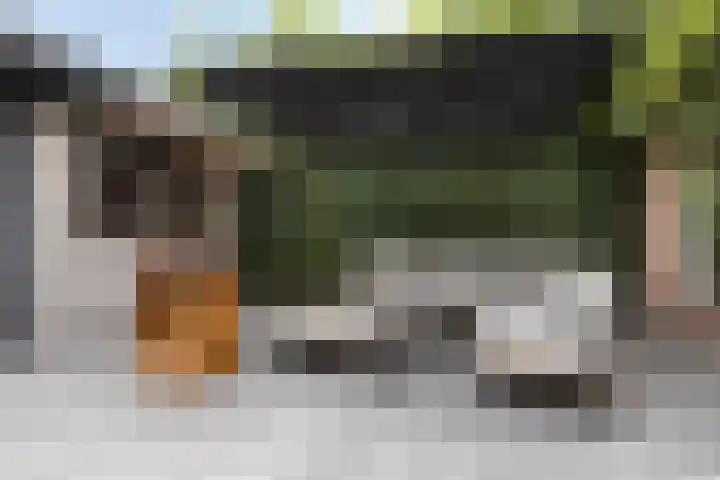 Karreputstraat 3 Nuland thumbnail 25