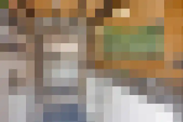 Karreputstraat 3 Nuland thumbnail 26