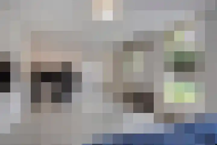 Karreputstraat 3 Nuland thumbnail 36