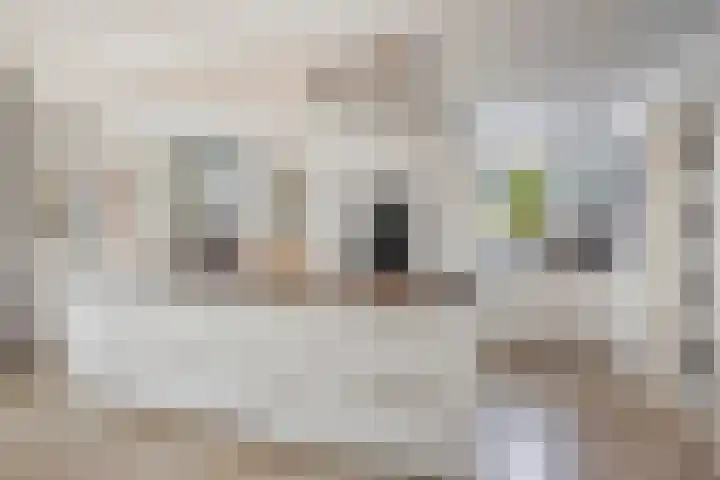 Karreputstraat 3 Nuland thumbnail 4