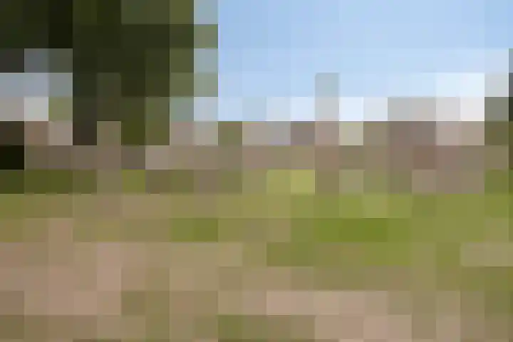 Karreputstraat 3 Nuland thumbnail 41