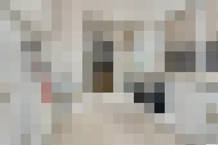 Karrestraat 13 Vlijmen thumbnail 13