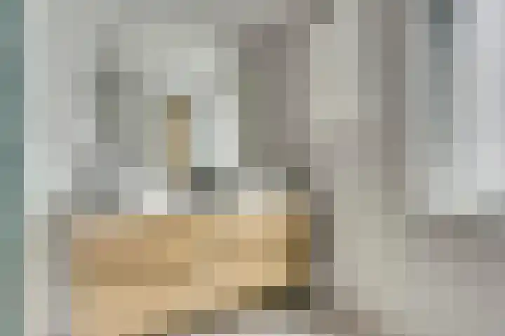 Karrestraat 13 Vlijmen thumbnail 20