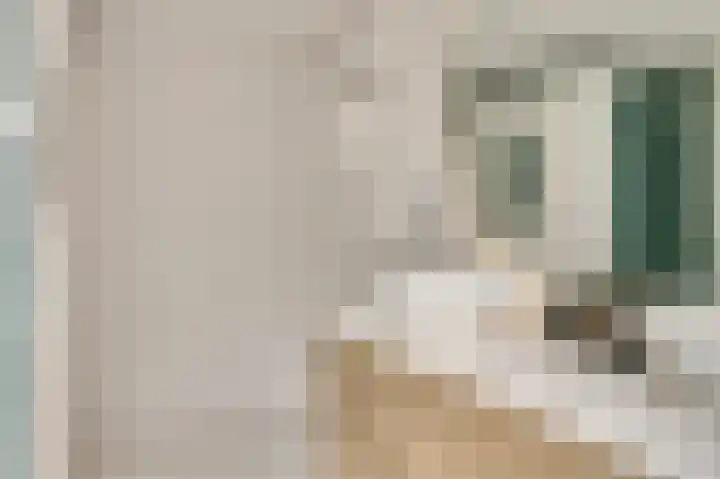 Karrestraat 13 Vlijmen thumbnail 21